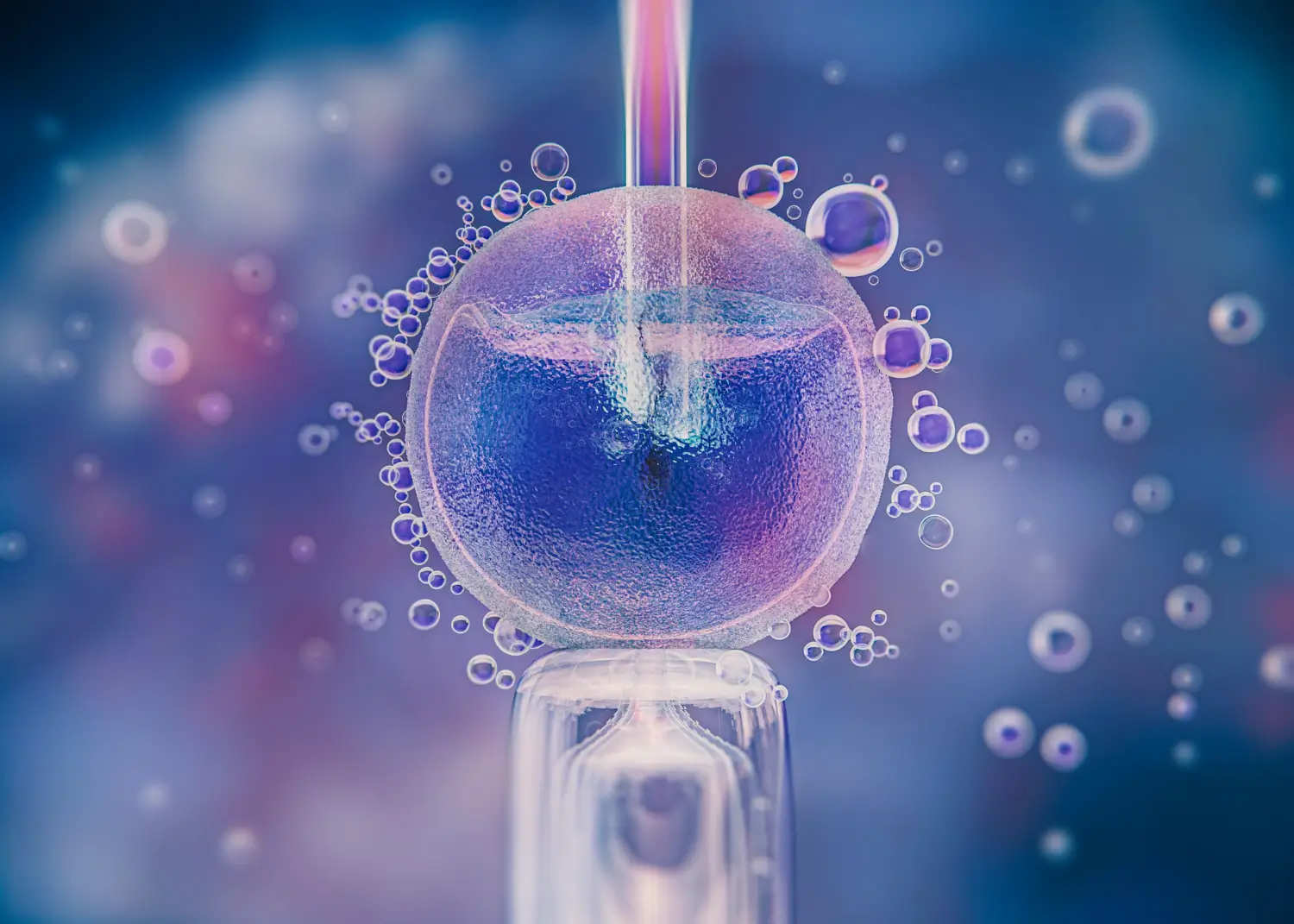 Frozen Donor Embryos in Canada