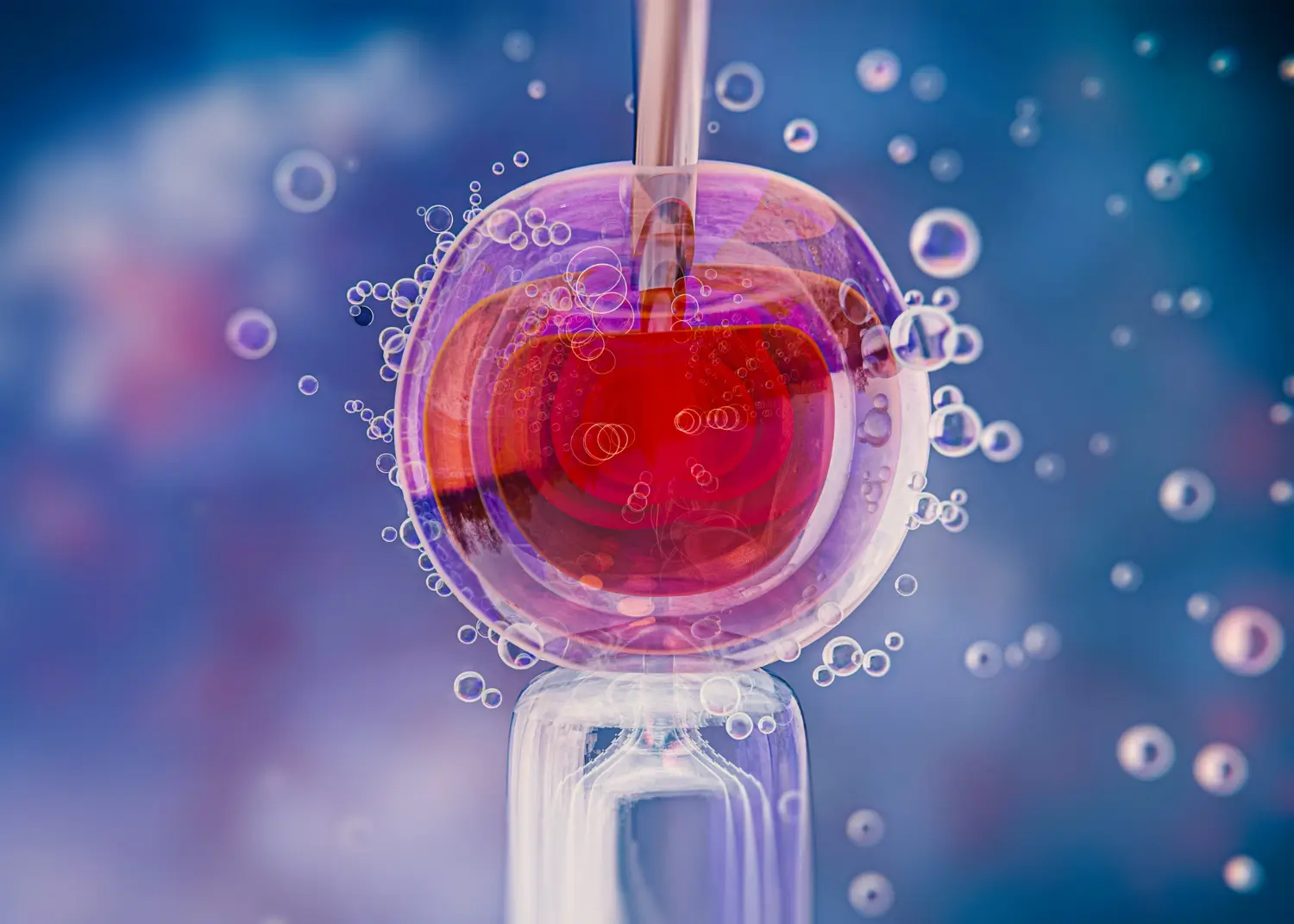 frozen donor embryos