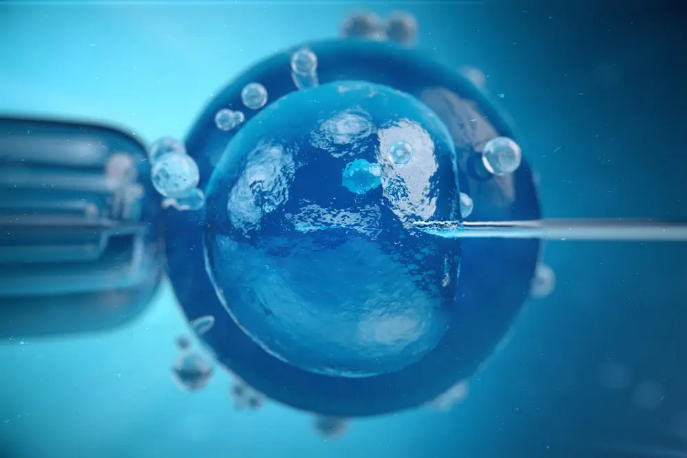 Best Egg Donation Agency