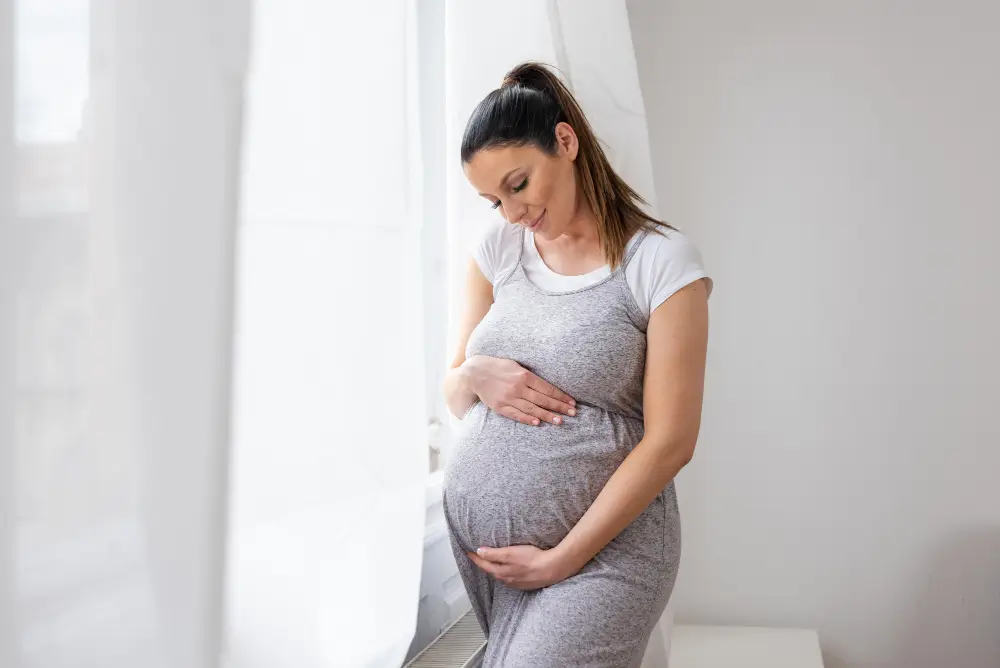 egg donation process 