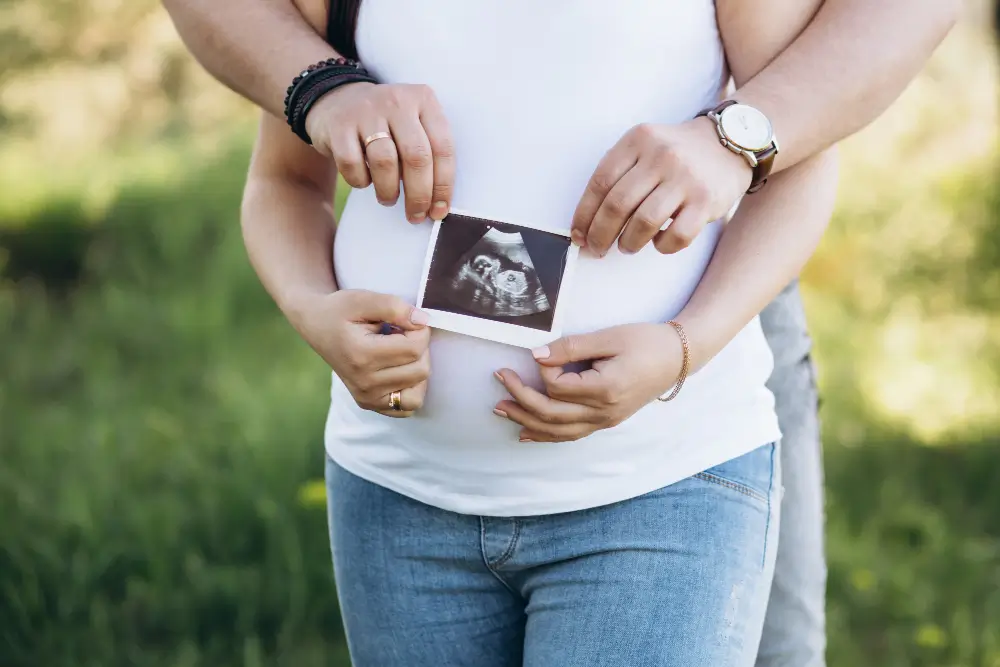 egg donation cycle