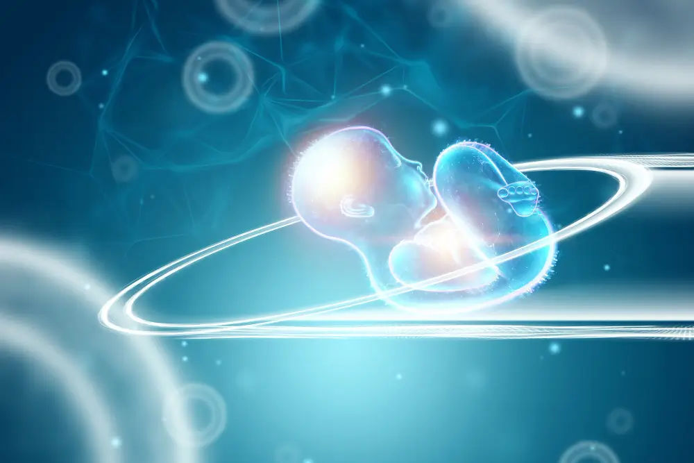 Egg Donation Process