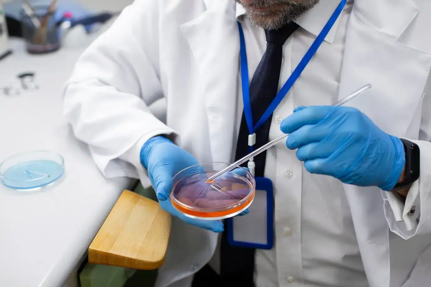 In Vitro Fertilization
