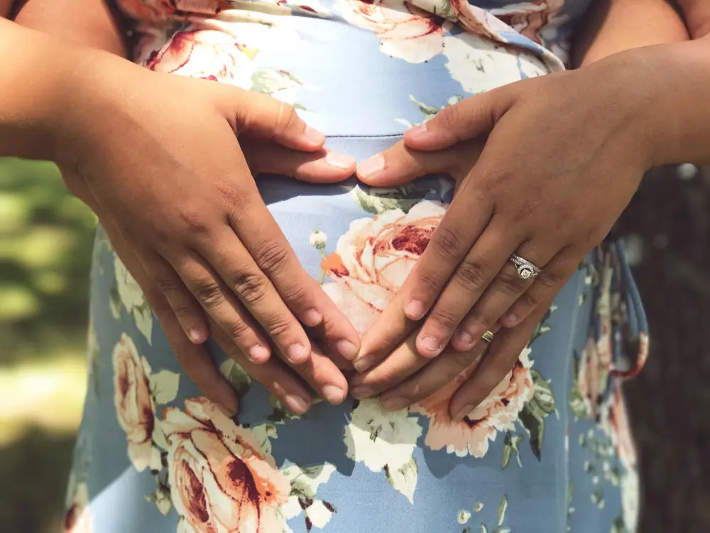  surrogacy agency 