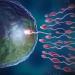 Donor Embryos in India