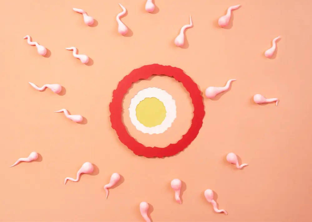 Become an Egg Donor in India