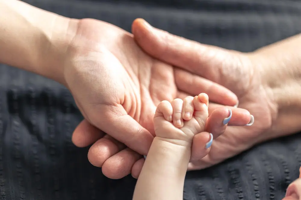 become an egg donor 