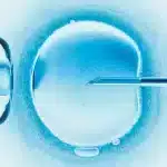 donor embryos