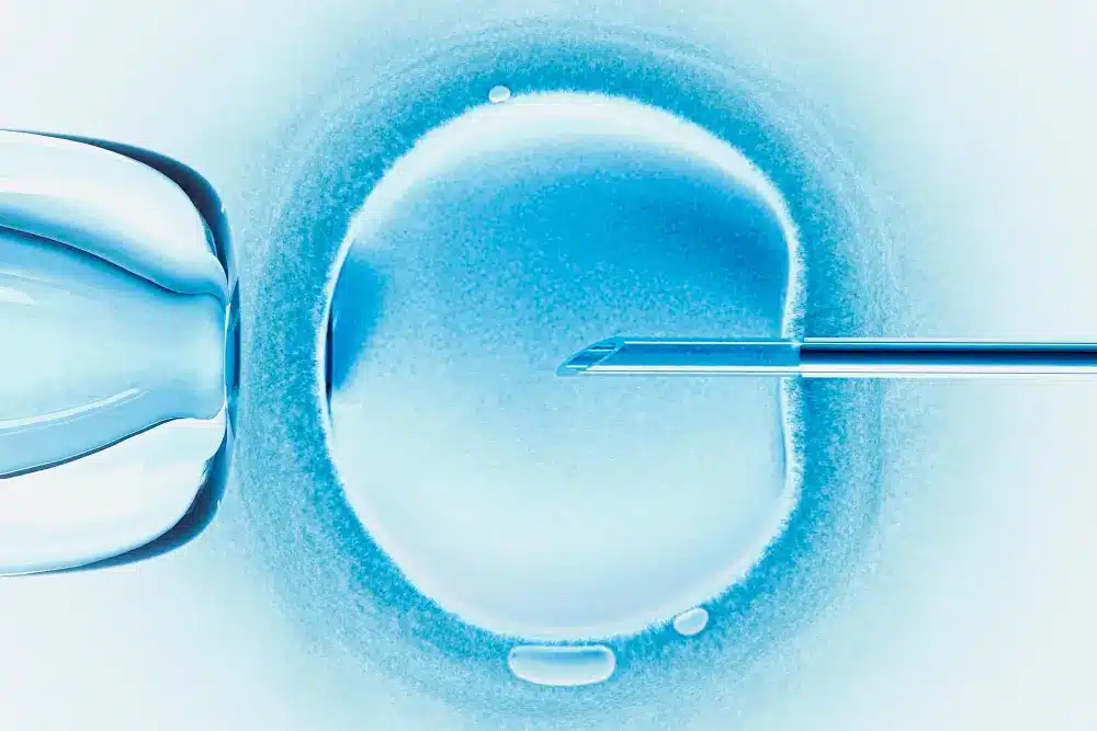 donor embryos