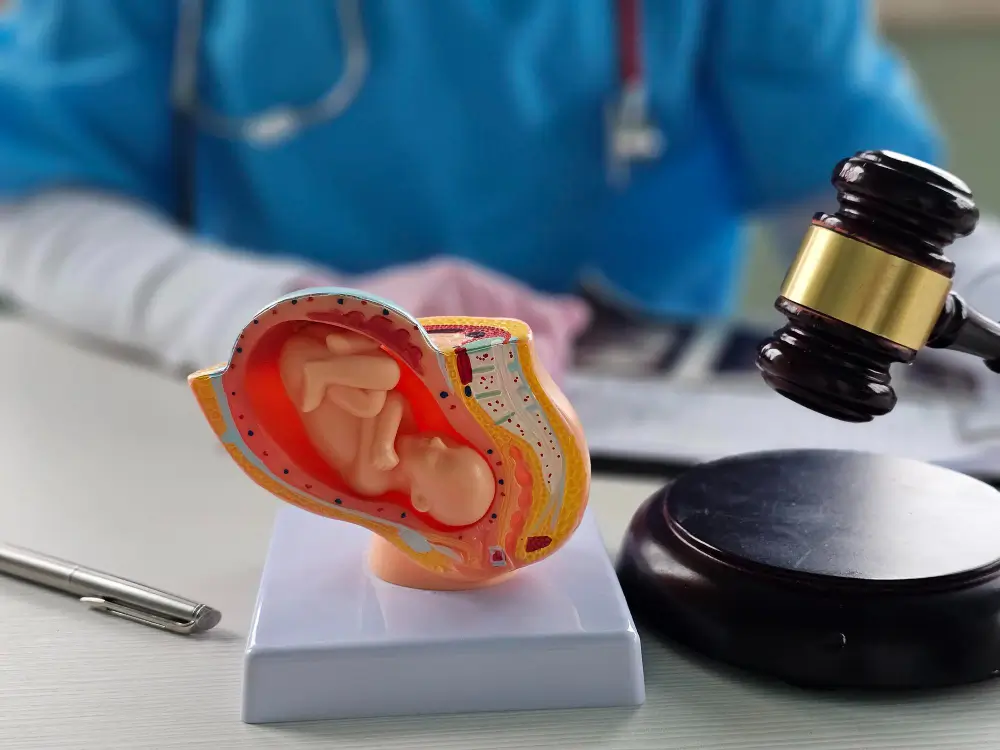 Surrogacy Laws
