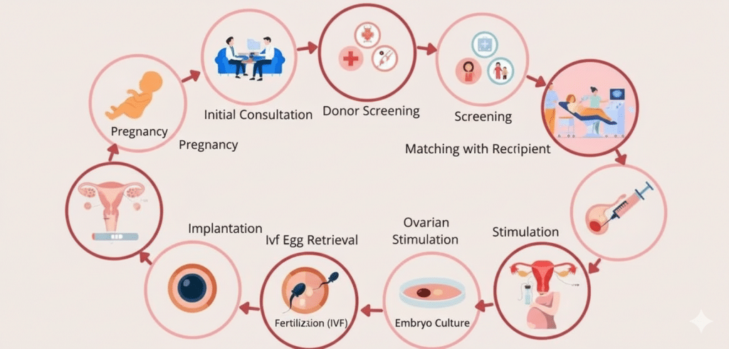 Navigating The Surrogacy Process In Canada: From Consultation To Birth