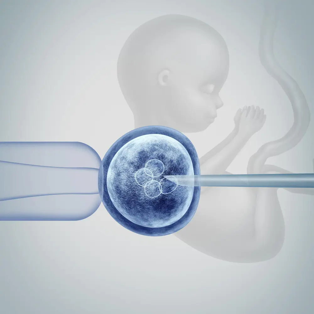 Female fertility