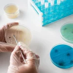 IVF success rates in the USA