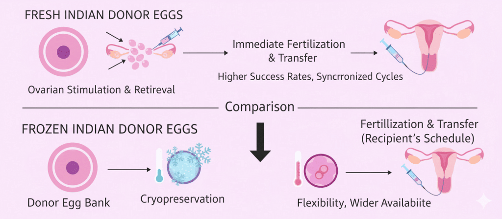 Fresh vs. Frozen Indian Donor Eggs – Which Is Better?
