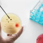 genetic testing egg donation