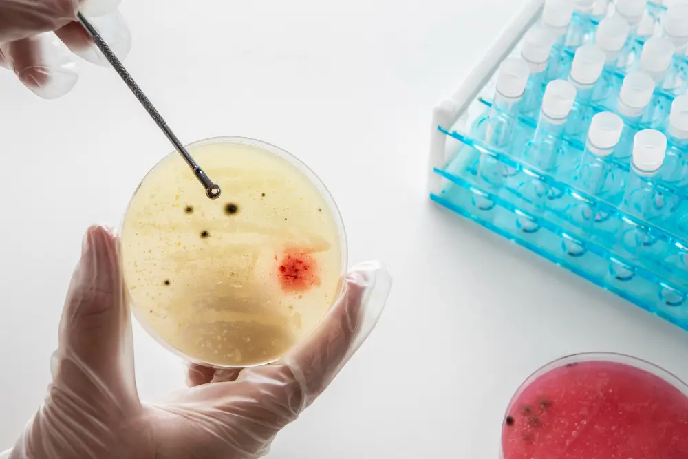 genetic testing egg donation