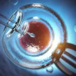 Artificial Insemination vs IVF