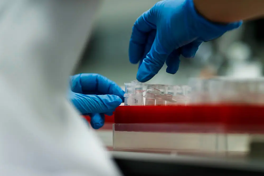 be a frozen egg donor