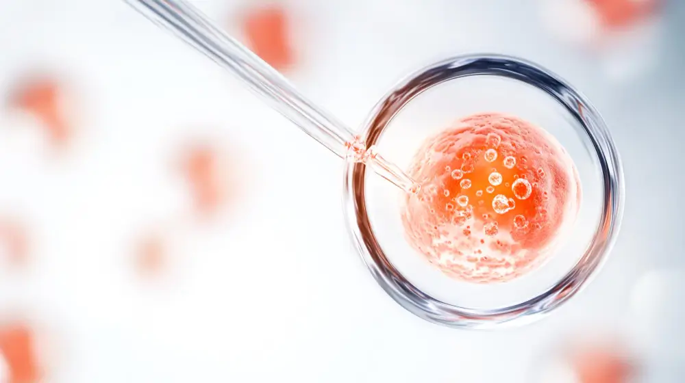 Canadian Clinics Optimize Egg Retrieval Success