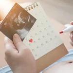 The Surrogacy Timeline (9–18 Months)