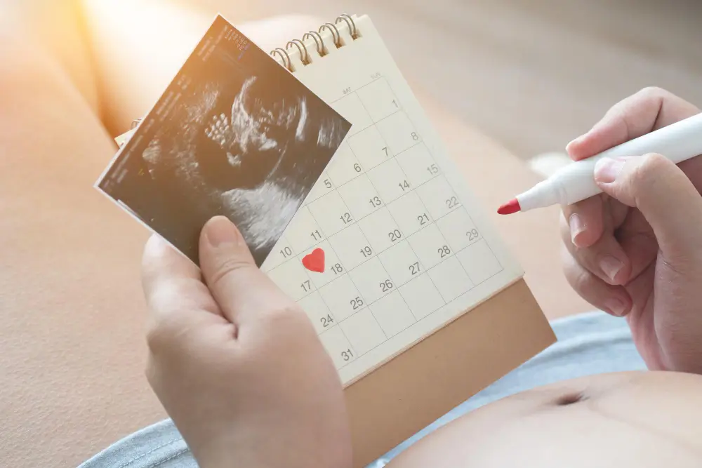 The Surrogacy Timeline (9–18 Months)