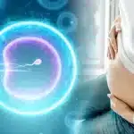 What Happens During Embryo Transfer