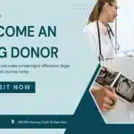 How to Become an Egg Donor in a Safe Process