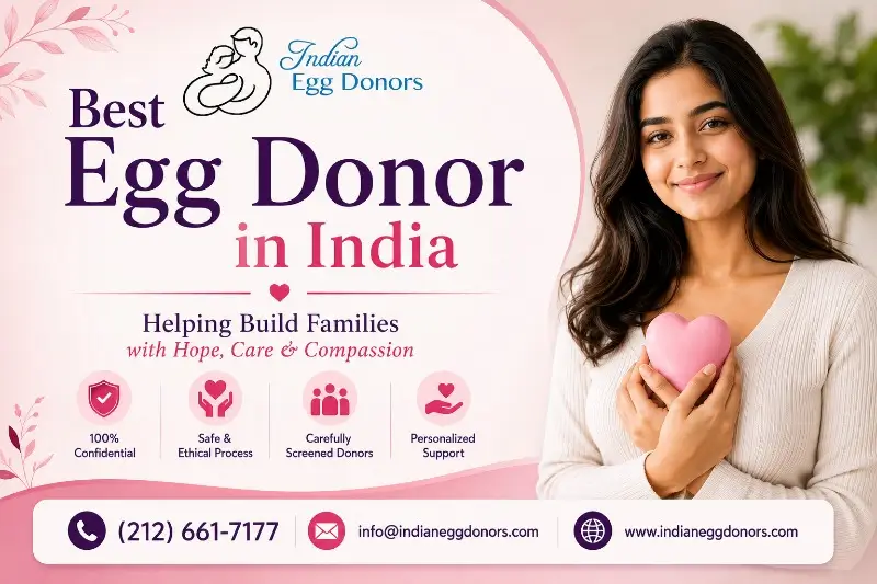 Choosing the Best Egg Donor in India for IVF Success