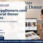 indianeggdonors vs general donor agencies surrogacy