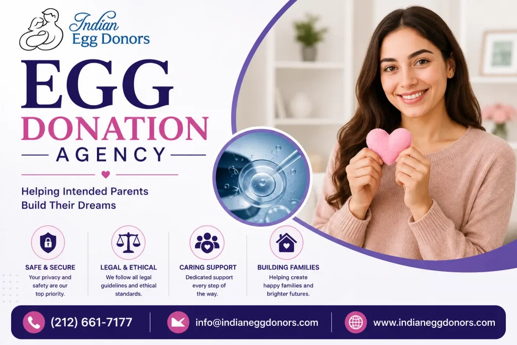 Egg Donation Agency Guide for First-Time Intended Parents