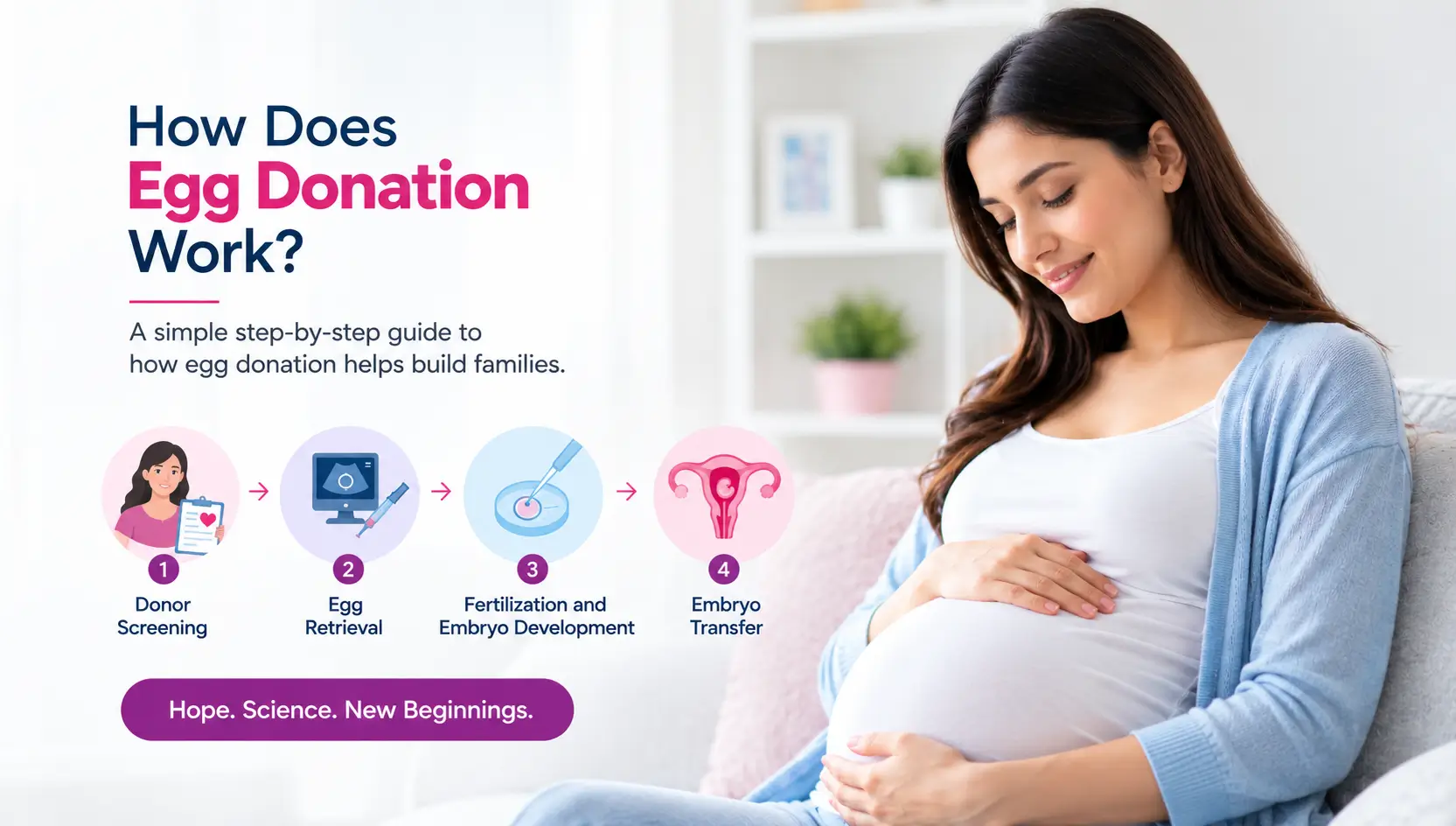 what is egg donation